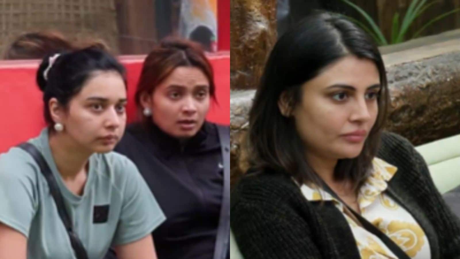 Bigg Boss 19: मालती चहर की वजह से टेंशन में आईं तान्या-नीलम, घर में शुरू हुआ नॉमिनेशन टास्क