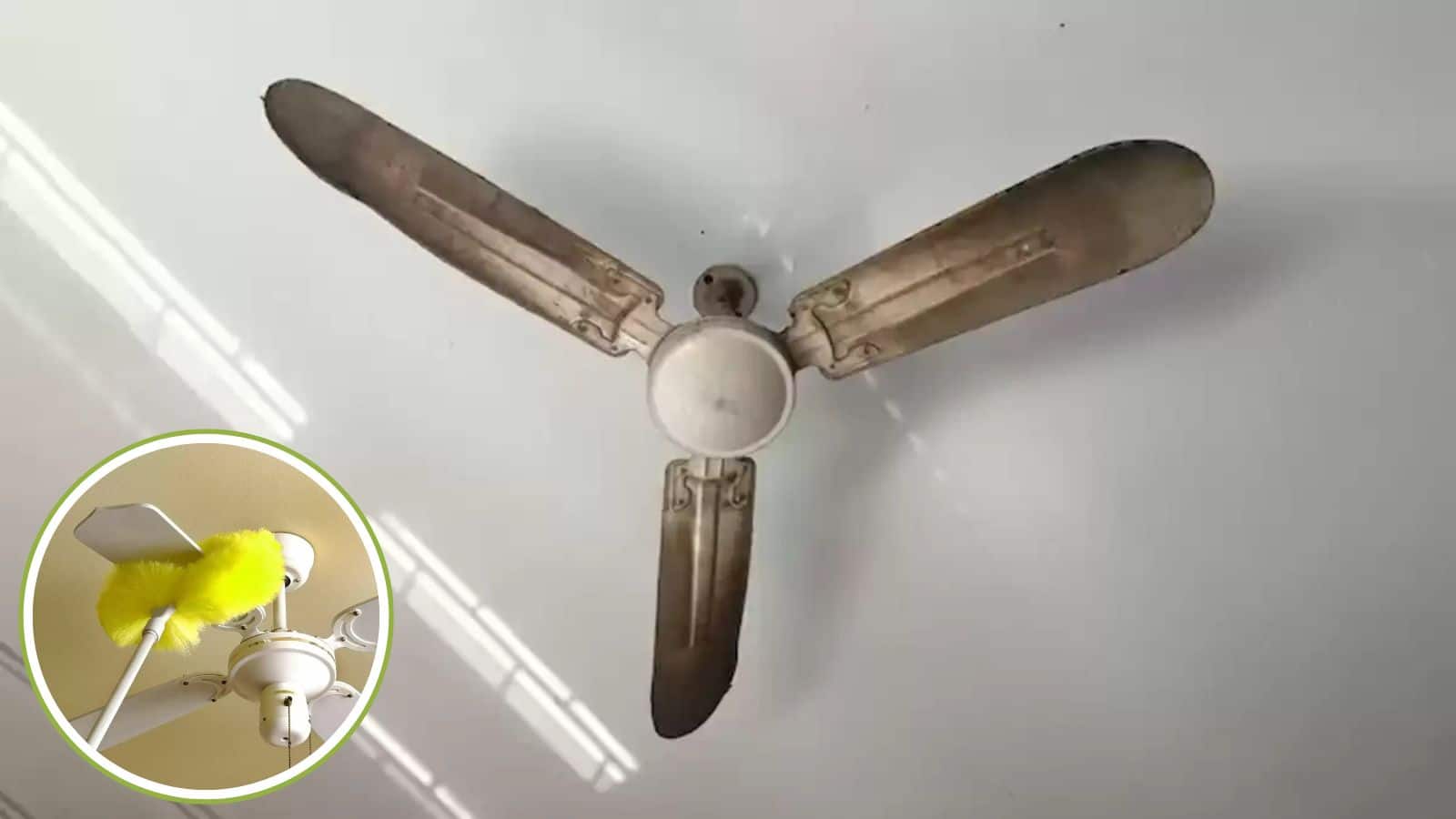 OMG! सिर्फ ₹1 में बिना सीढ़ी के ऐसे पंखा चमकाएं, हर कोने की धूल मिनटों में हटाएं!
