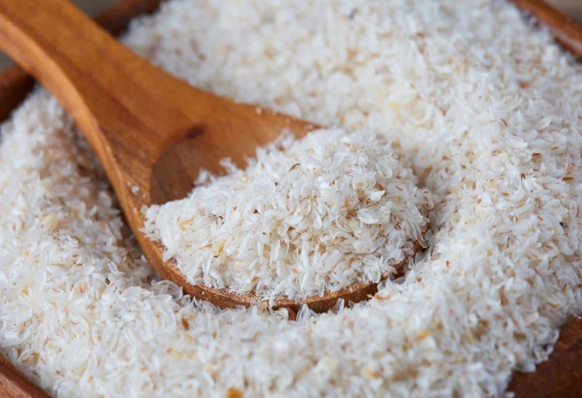 Isabgol GST issue: जीएसटी 2.O पर इसबगोल इंडस्ट्री में बवाल, इंडस्ट्री ने किसानों से बीजों की खरीद की बंद