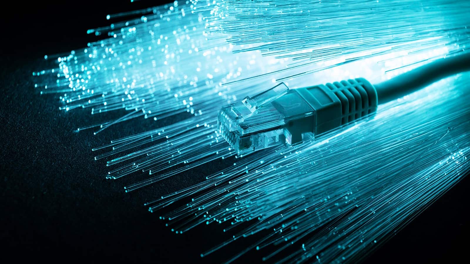 Pace Digitek IPO Listing: ₹219 के शेयरों ने दिया 3% का लिस्टिंग गेन, रॉकेट की स्पीड से बढ़ा है कारोबार