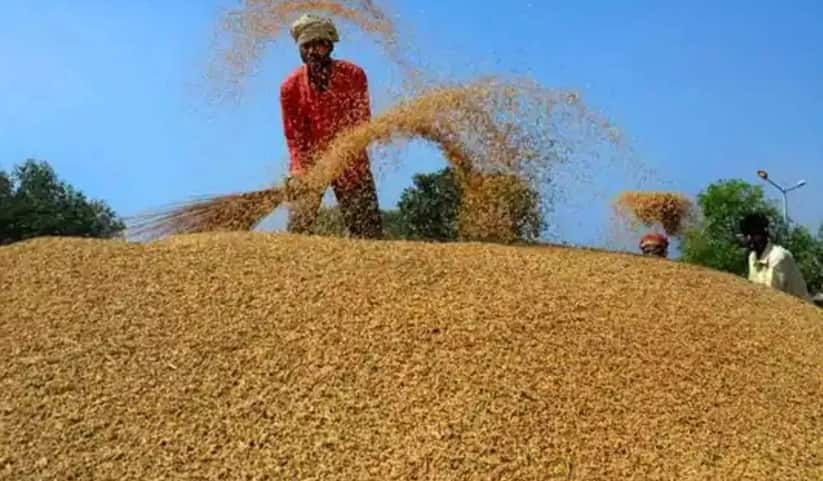 हरियाणा सरकार ने बाढ़ प्रभावित किसानों को दीवाली से पहले दिया तोहफा, सीएम सैनी ने मुआवजे का किया ऐलान