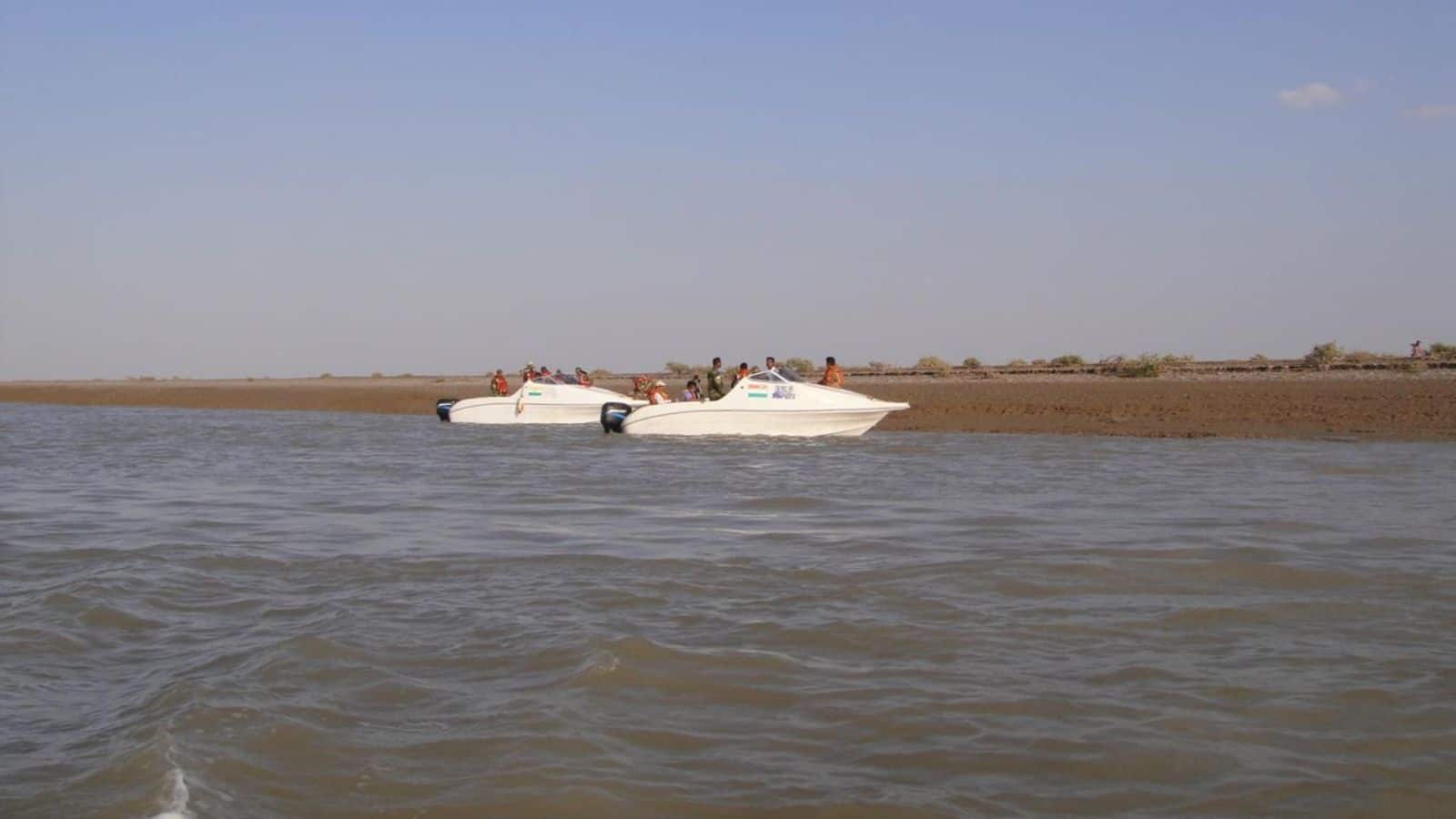 सर क्रीक को लेकर पाकिस्तान लंबे समय से करता रहा है साजिश!