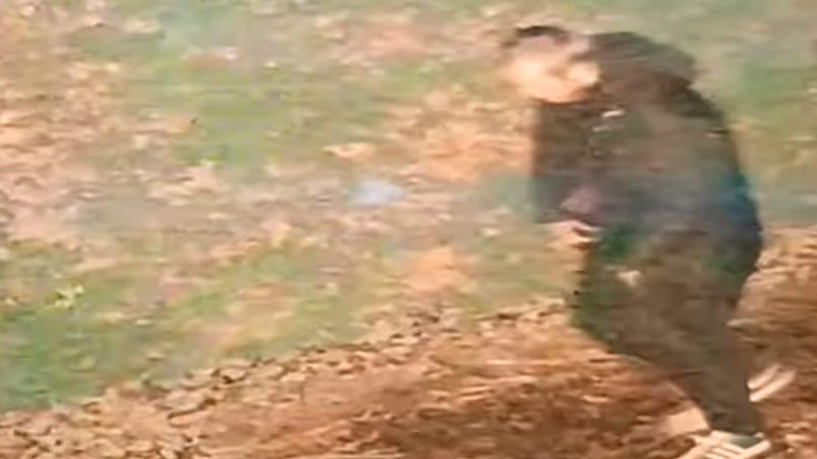 Indian Woman Raped in UK: ब्रिटेन में भारतीय मूल की 20 वर्षीय युवती से रेप! 'नस्लीय हमला' कर किया बलात्कार, आरोपी CCTV में कैद