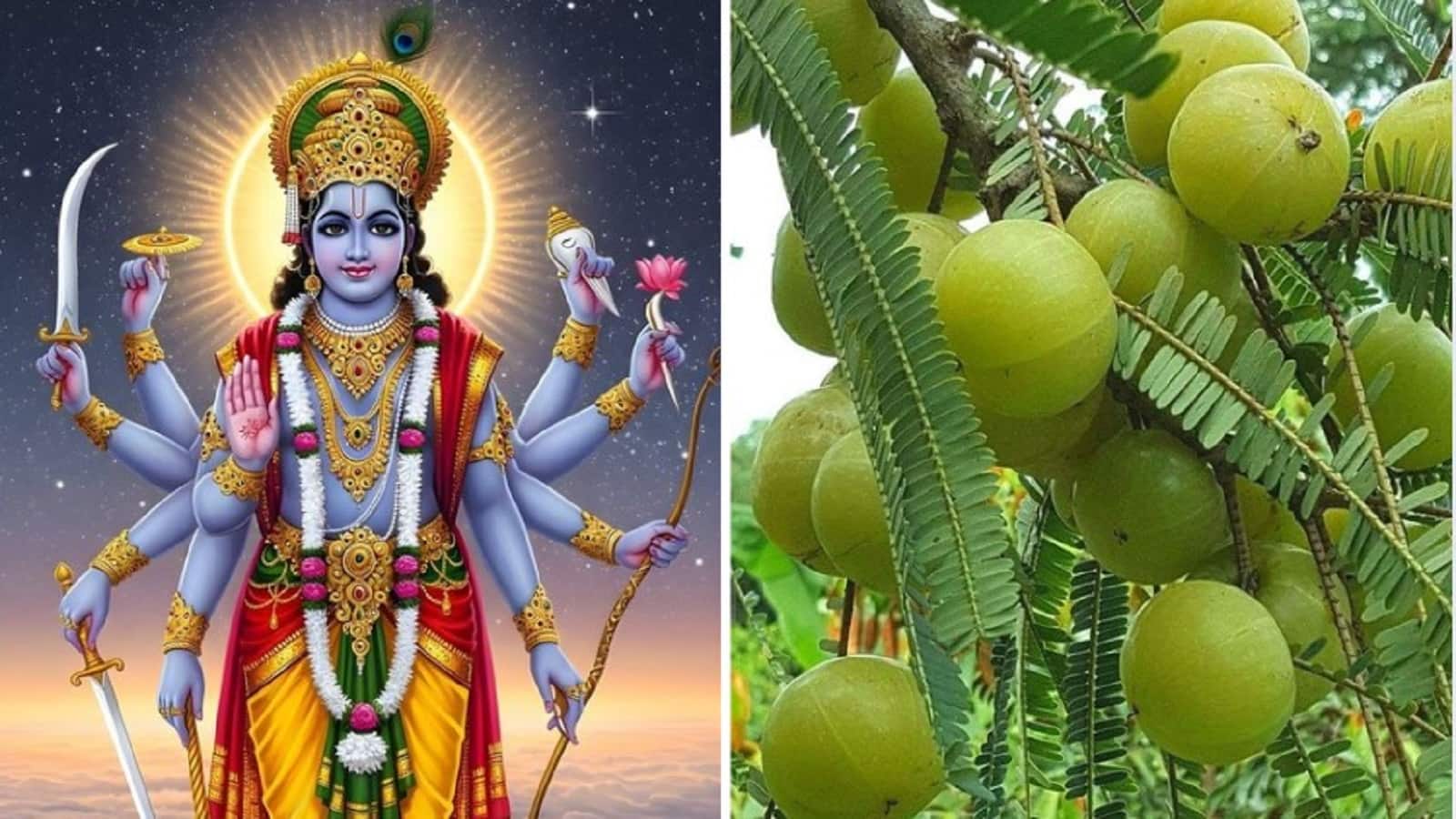 Amla Navami 2025: शुभ संयोग और चोर पंचक के बीच कल मनाई जाएगी आंवला नवमी, जानिए इसका महत्व और पूजा विधि