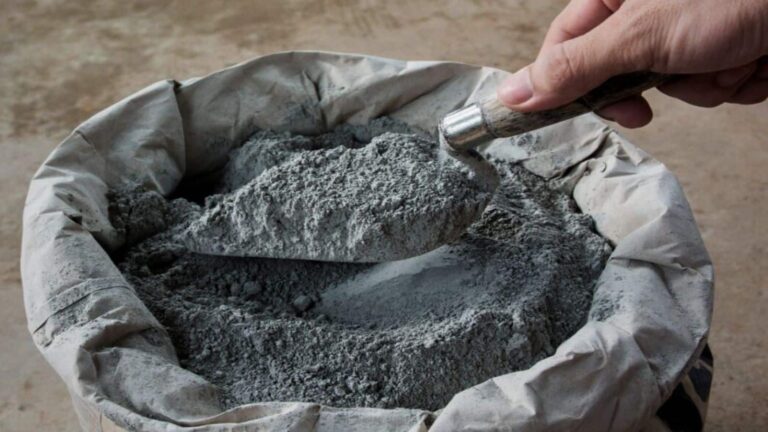 Shree Cement Q2 Results: हर शेयर पर 80 रुपये का डिविडेंड देगी कंपनी, सितंबर तिमाही में 200% बढ़ा शुद्ध मुनाफा