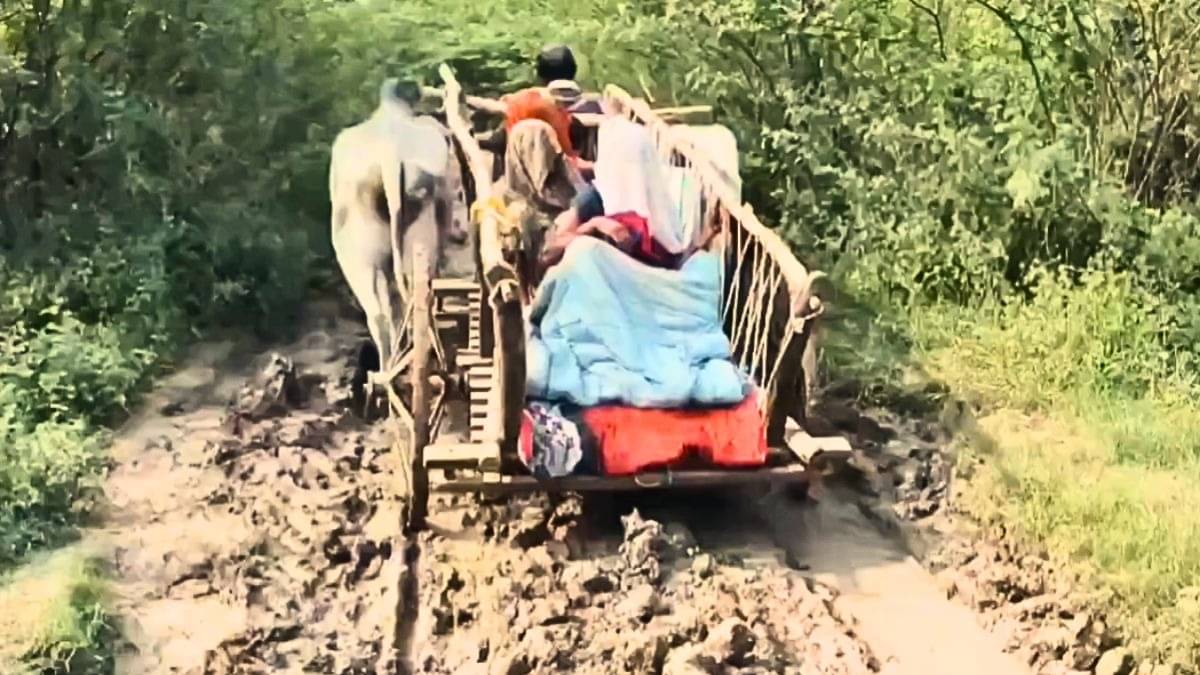 UP: हमीरपुर में प्रेग्नेंट महिला प्रसव पीड़ा से तड़पती रही, नहीं मिली एंबुलेंस तो बैलगाड़ी से 3 घंटे में पूरा किया 7 किमी का सफर, VIDEO