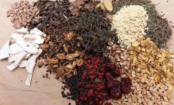 औषधीय व सुगन्धित पौधे - स्वास्थ्य, विरासत और आजीविका का अनमोल ख़ज़ाना