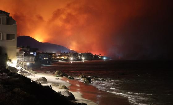 2024 में, कार्बन डाइऑक्साइड के स्तर में रिकॉर्ड उछाल, WMO की चेतावनी