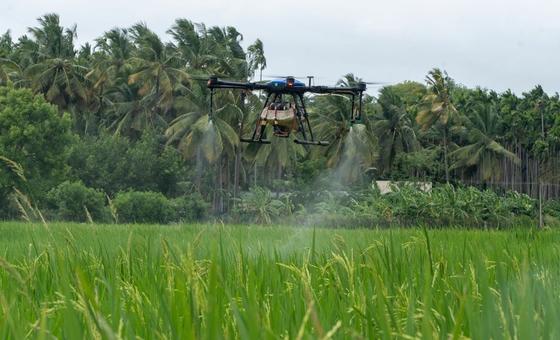 भारत: नवीन तकनीक के प्रयोग से खुले, कृषि शिक्षा व प्रशिक्षण के नए द्वार