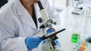 Dr. Lal Path Labs पहली बार देगी बोनस शेयर, डिविडेंड का भी ऐलान; Q2 में मुनाफा 16% बढ़ा