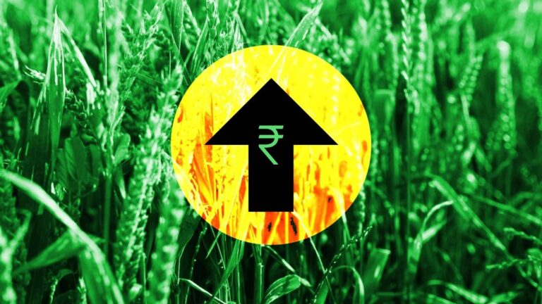 MSP Hike : केंद्रीय कर्मचारियों के बाद मोदी सरकार का किसानों को तोहफा, रबी फसलों के MSP में बढ़ोतरी, राष्ट्रीय दलहन मिशन को मंजूरी