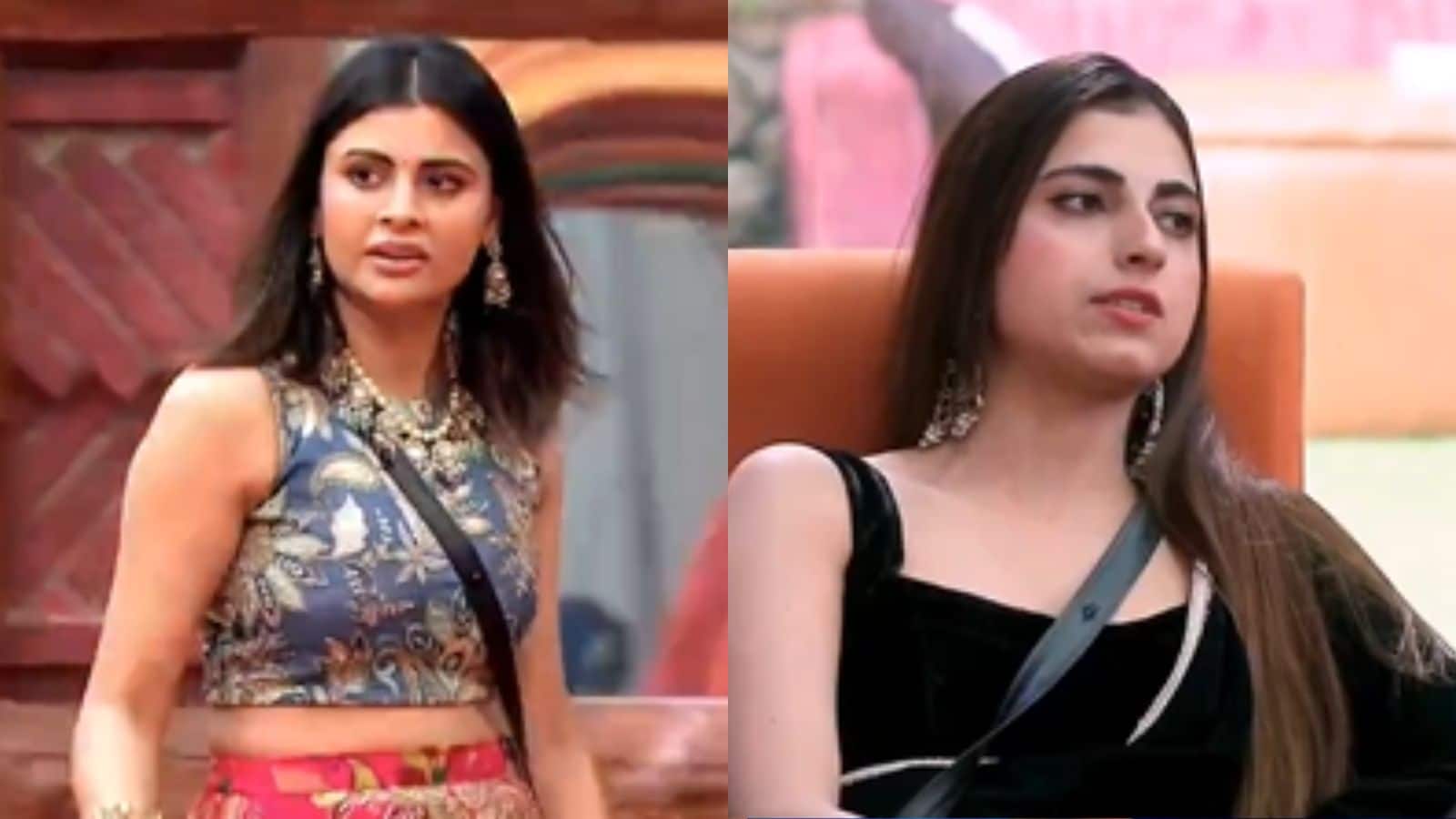 Bigg Boss 19: तान्या-फरहाना की दोस्ती में आई दरार! मालती की हुई भयंकर लड़ाई...जानें आज क्या-क्या हुआ