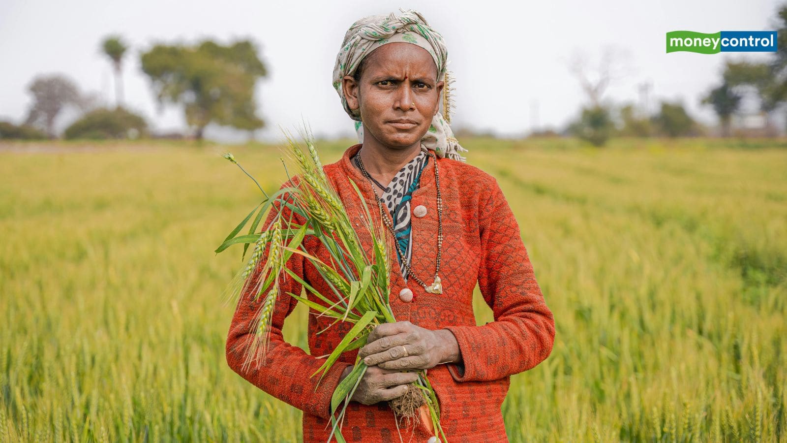 PM Kisan: पीएम किसान की 21वीं किश्त आएगी? सरकार आज कर सकती है ऐलान