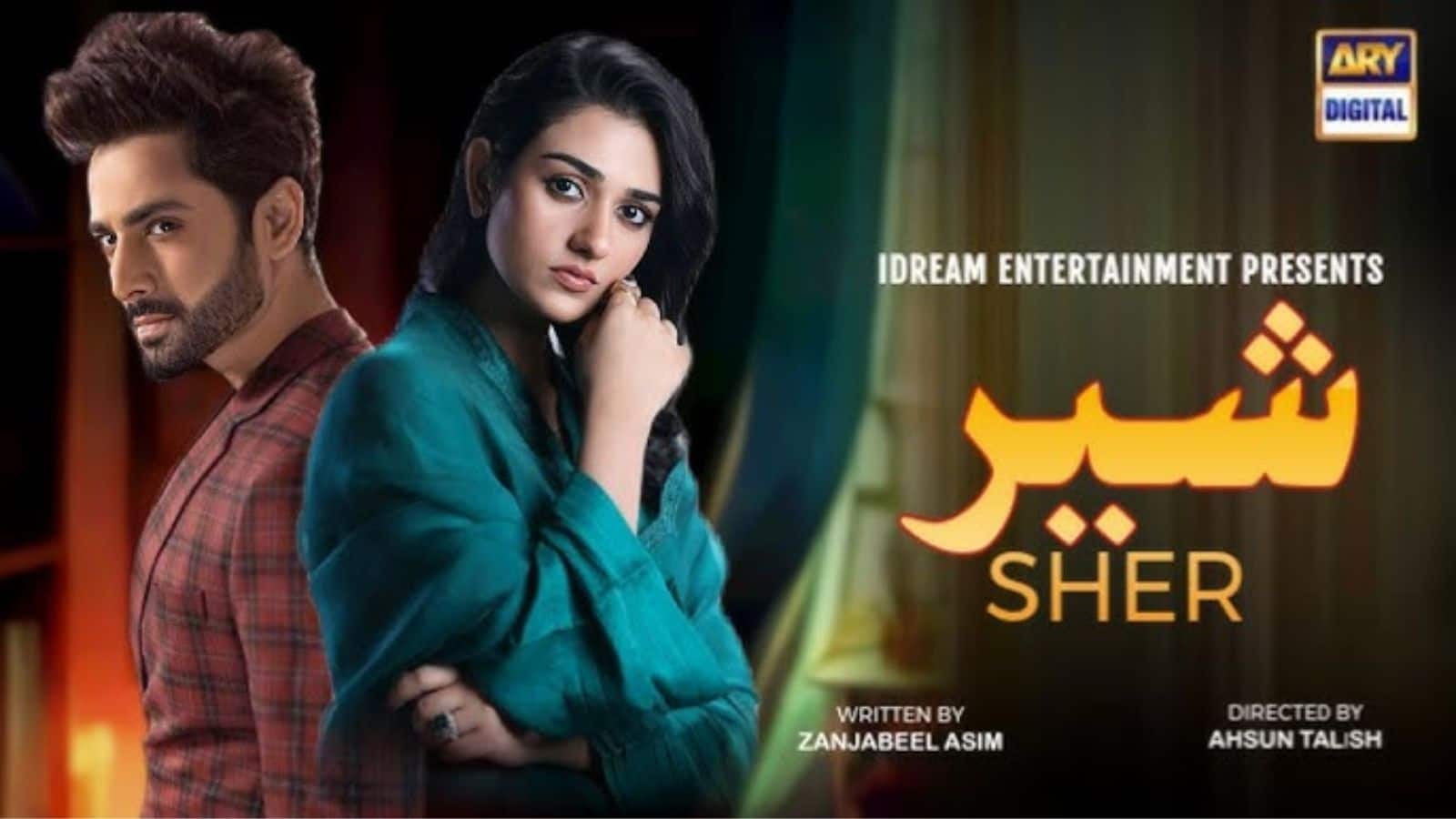 पाकिस्तान में TV शो की नकली शादी बनी असली गुनाह! ARY डिजिटल के खिलाफ दर्ज हुआ ईशनिंदा का केस