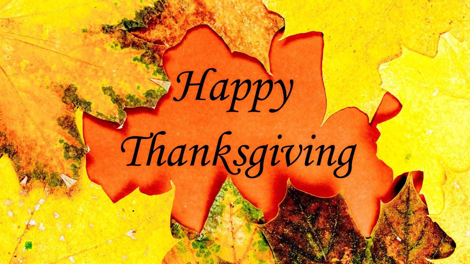 Thanksgiving 2025: अपने दोस्तों और परिवार को कहें ‘धन्यवाद’ इन 50 अनोखे मैसेज के साथ