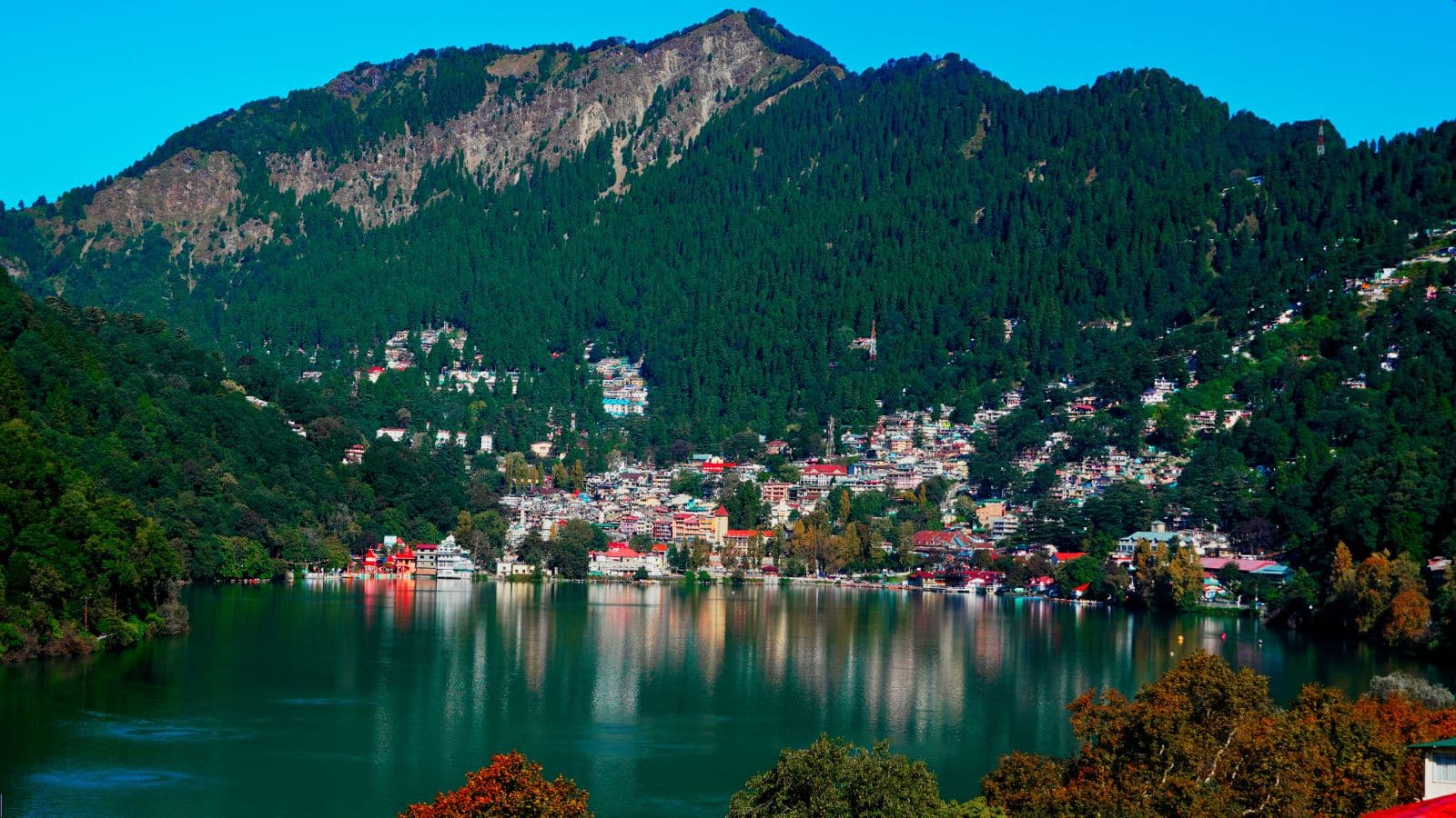 उत्तराखंड की ये जगहें बर्ड लवर्स के लिए है खास, जहां मिलते हैं 700 से भी ज्यादा दुर्लभ पक्षी