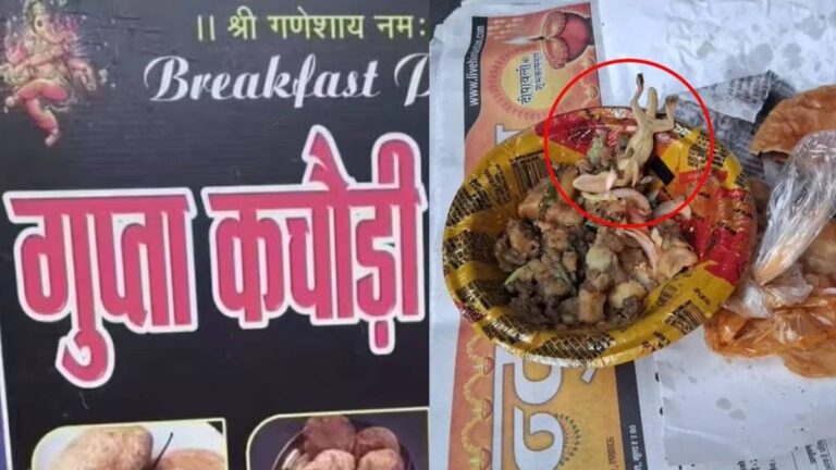 UP: कचौड़ी-सब्जी लेकर घर पहुंचा ग्राहक, खाने बैठा तो निकली मरी छिपकली... बाराबंकी के फेमस दुकान में मचा बवाल