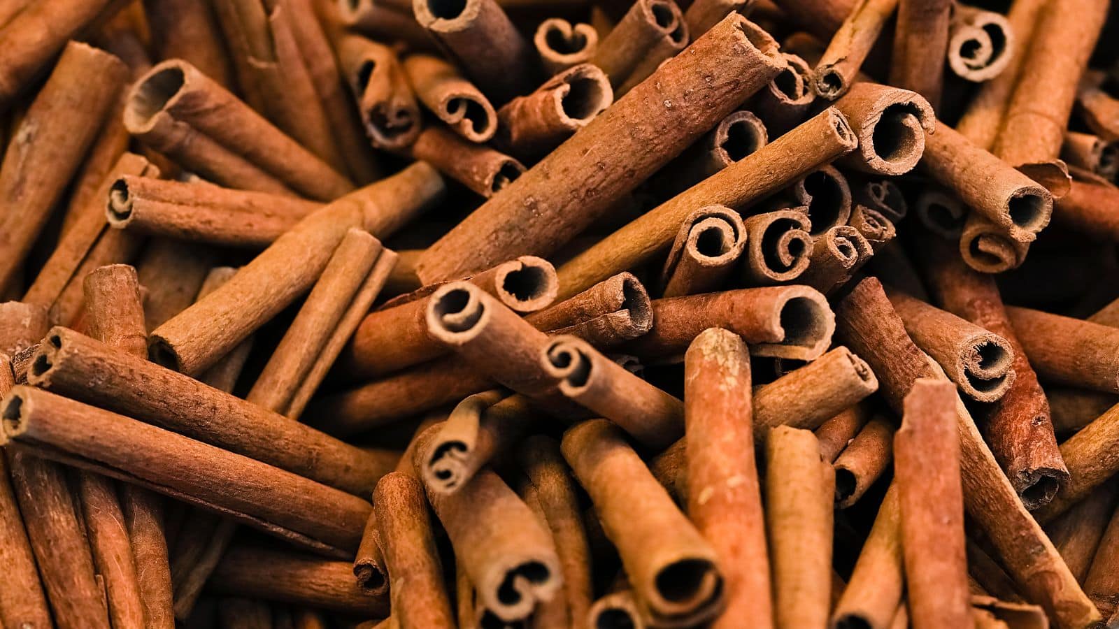 Cinnamon: वजन घटाने के लिए दालचीनी का ये तरीका अपनाएं, पेट तुरंत लगेगा फ्लैट