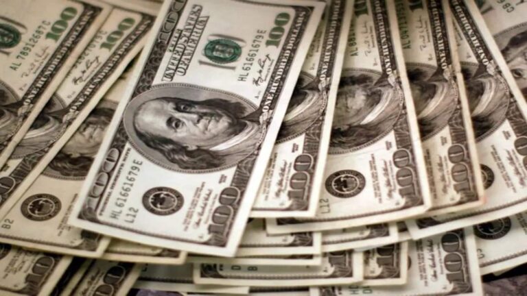 FPI फिर बने सेलर, नवंबर में भारतीय शेयरों से निकाले ₹3765 करोड़; किन कारणों से मोह भंग