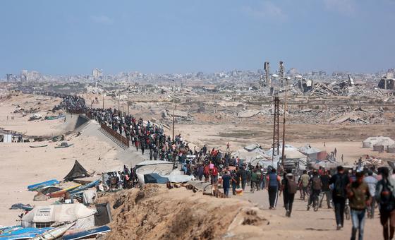 रणक्षेत्र से बंजर भूमि तक: सशस्त्र टकरावों के कारण तबाह हो रहे हैं पारिस्थितिकी तंत्र