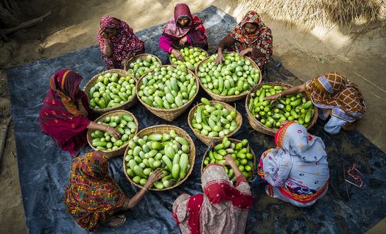 सैन्य ख़र्च के केवल 1 प्रतिशत धन से, सबको मिल सकता है भरपेट भोजन