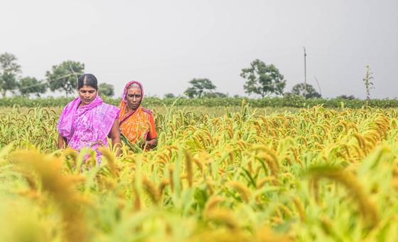 UNIDO: AI सहित विज्ञान व टैक्नॉलॉजी के ज़रिए औद्योगिक समाधानों पर नज़र