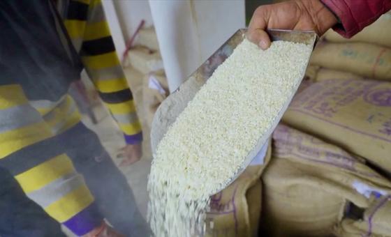 पोषण के दाने: एशिया-प्रशान्त क्षेत्र में पोषक आहार का नवीन अध्याय