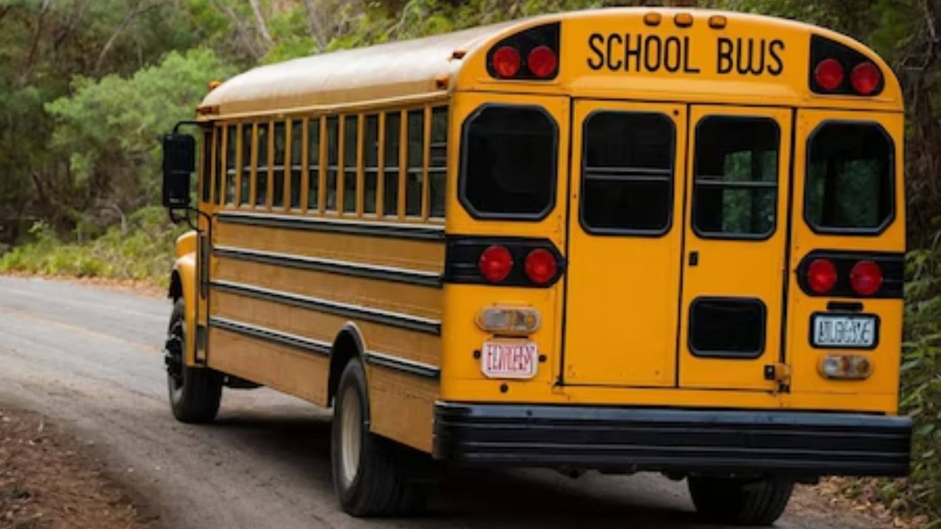 Kerala: नहीं बच सकी मासूम की जान, 4 साल की बच्ची को स्कूल परिसर में ही बस ने कुचला; ड्राइवर ने सुनी चिल्लाने की आवाज, फिर...