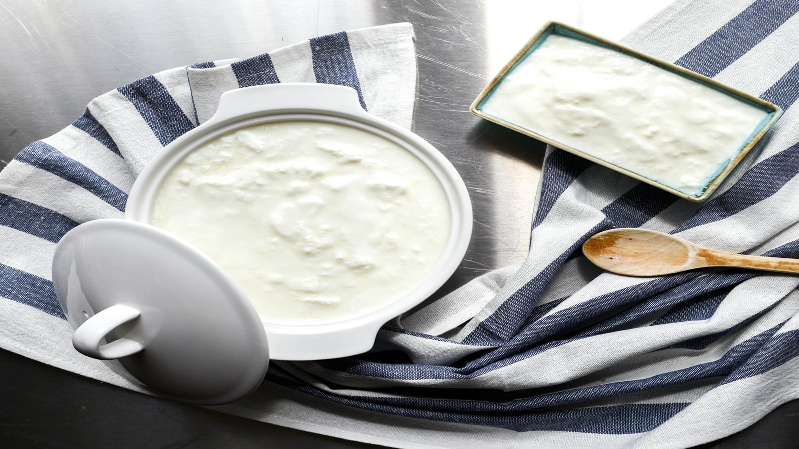 Dairy Stocks: दही-पनीर बेचने वाली कंपनी का धांसू रिजल्ट, निवेशकों के जोश पर 15% उछल गया यह शेयर