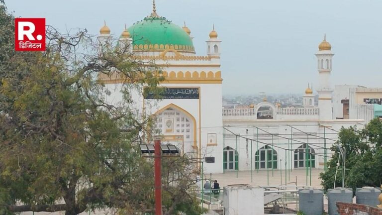 Sambhal Jama Masjid: संभल की जामा मस्जिद में ASI टीम के साथ अभद्रता, इंतजामिया कमेटी के दो लोगों पर नामजद FIR