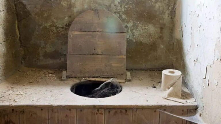 4000 साल पहले भी लोग इस्तेमाल करते थे टॉयलेट! जानें इतिहास की ये अनोखी कहानी