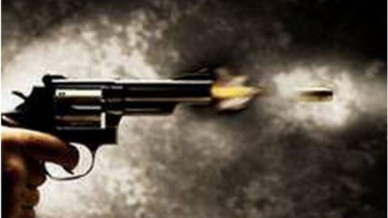 Delhi: गोलियों की तड़तड़ाहट से दहली दिल्ली, शाहदरा में डेयरी मालिक के बेटे पर फायरिंग; गंभीर हालत में अस्पताल में भर्ती