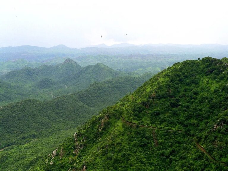 Aravali Hills : अरावली में माइनिंग पर सख्ती बरकरार, केंद्र सरकार ने कहा,  90% से ज्यादा क्षेत्र अब पूरी तरह संरक्षित