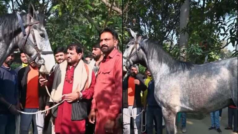 बृजभूषण सिंह को गिफ्ट में मिला डेढ़ करोड़ का घोड़ा, कीमत सुनकर खुद भी हैरान हो गए पूर्व भाजपा सांसद