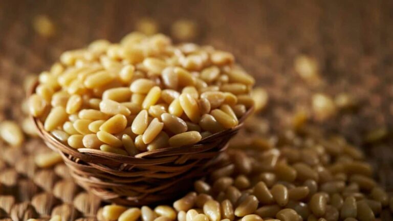 कम लोग जानते हैं चिलगोजा के फायदे, जानें इसे खाने का सही तरीका