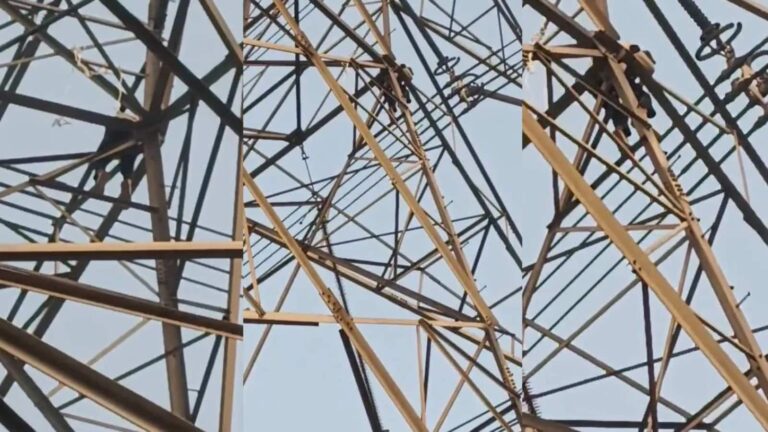Greater Noida: शादी का प्रस्ताव ठुकराए जाने पर युवक 50 फुट ऊंचे टावर पर चढ़ा, पुलिस ने लंबे प्रयासों के बाद बचाया