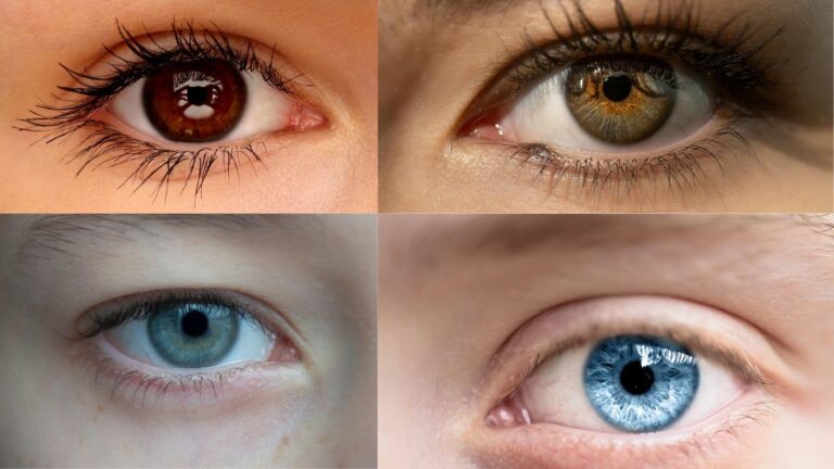 आंखें नीली, भूरी या काली क्यों होती हैं? जानें इसके पीछे का विज्ञान