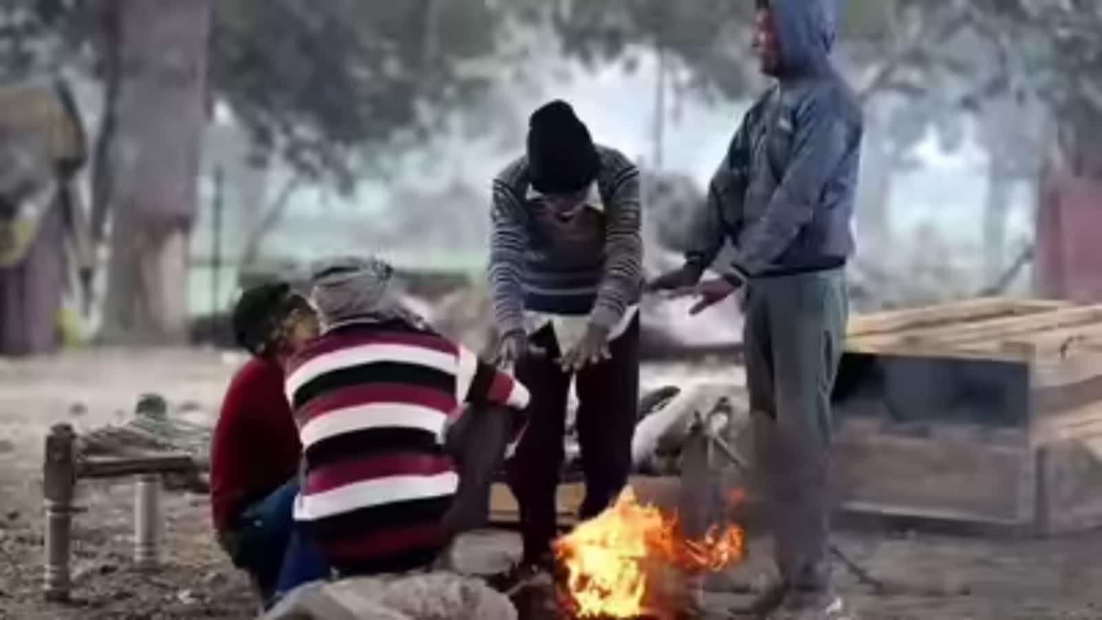 Cold Wave Alert: IMD ने जारी किया अलर्ट, 11 दिसंबर को कई राज्यों में शीत लहर और घने कोहरे की चेतावनी