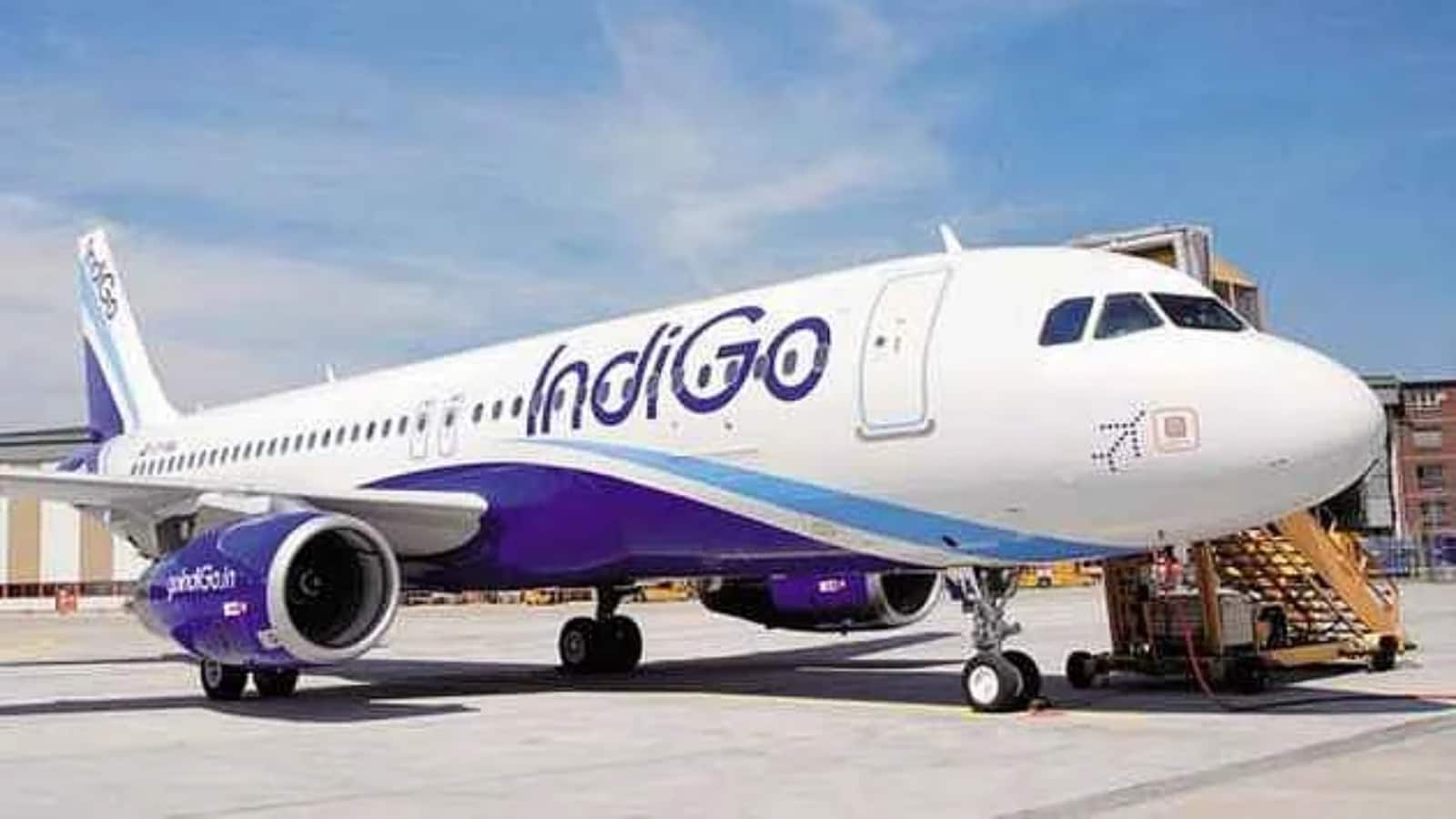 Indigo crisis : न्यू ईयर ट्रैवल पर इंडिगो संकट का साया, अपना ट्रैवल प्लान बदल रहे हैं लोग