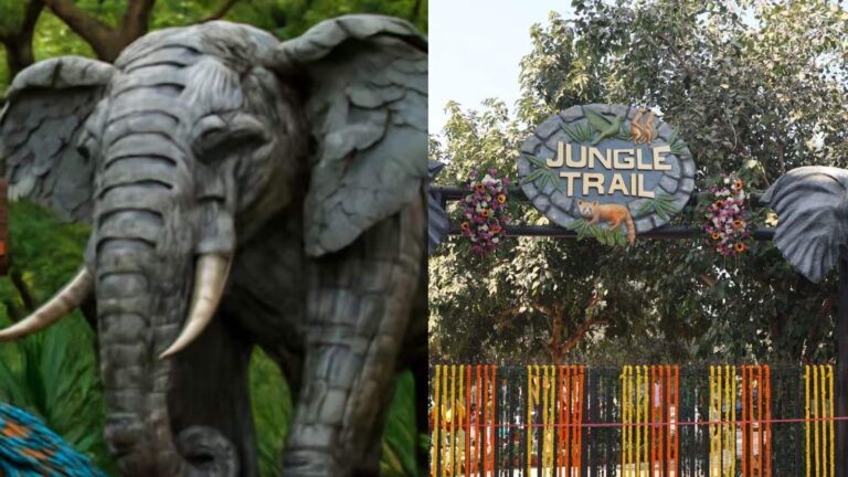 Jungle Trail: नोएडा में खुला अनोखा 'जंगल ट्रेल', जानें कितनी है कबाड़ और लोहे से बने इस पार्क की एंट्री फीस