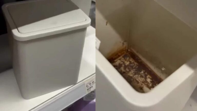 Kanpur Viral Video: कानपुर की एक दुकान में गुटखा से सना कूड़ेदान बिकने का वीडियो वायरल, यूजर ने कैप्शन में लिखा, "बोलो जुबान केसरी..."