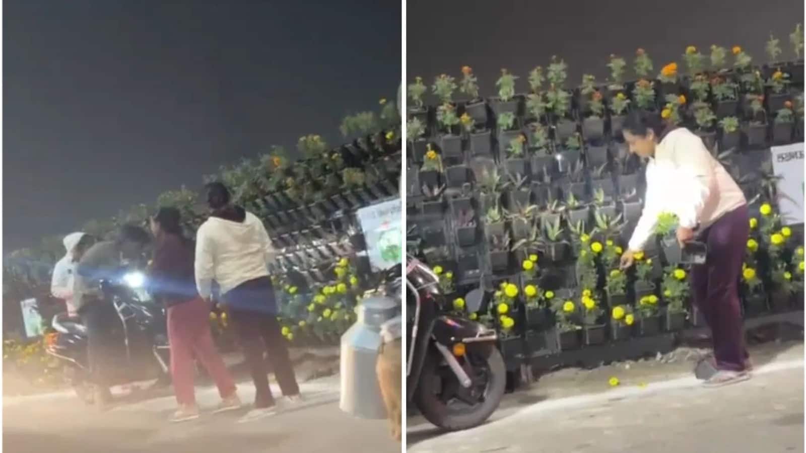 लखनऊ में PM मोदी के कार्यक्रम के बाद गमले की चोरी करते हुए दिखे लोग, सोशल मीडिया पर वीडियो वायरल