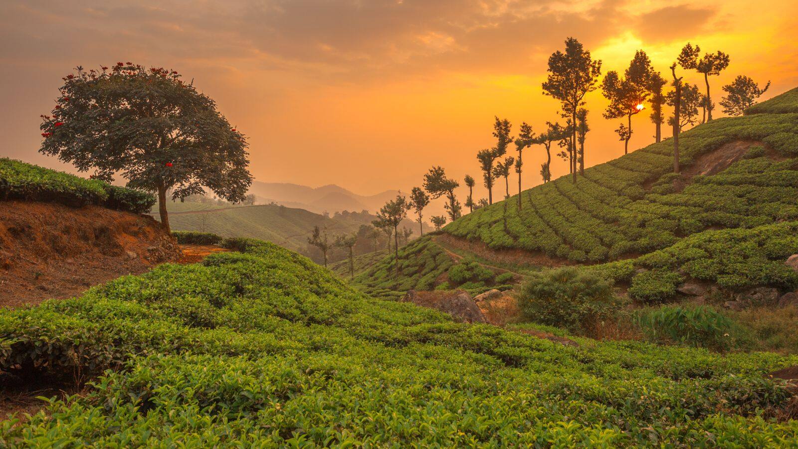 रात में तारें देखने के हैं शौकीन तो साउथ इंडिया की ये जगहें है खास, जानें इनके बारे में