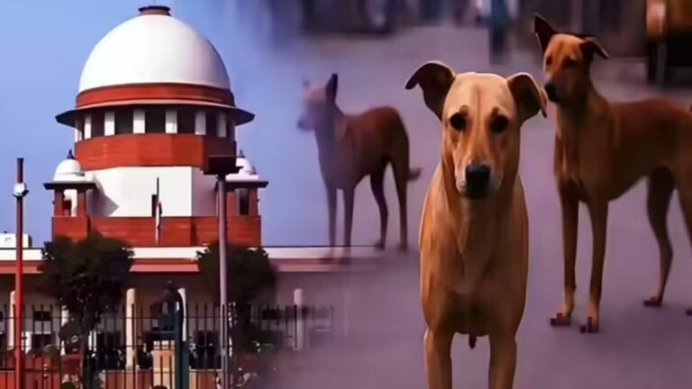 आवारा कुत्तों के गलत शिफ्टिंग पर देश का गुस्सा, SC को स्पीड पोस्ट से भेजी गई 1 लाख चिट्ठियां