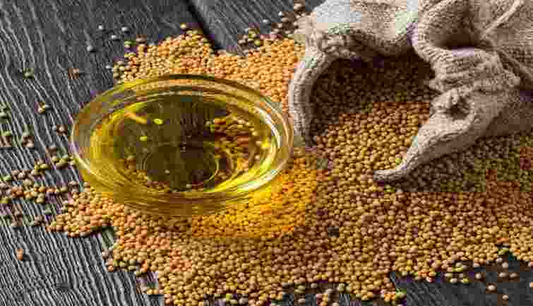 Mustard Oil: 10-15% की दर से बढ़ रही है कच्ची घनी की मांग, आगे सरसों की खपत में दिखेगी बढ़ोतरी