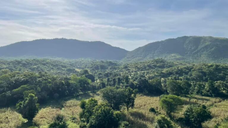 Aravalli Hills: अरावली की नई परिभाषा और माइनिंग के मुद्दे पर सुप्रीम कोर्ट ने लिया स्वतः संज्ञान, सोमवार को CJI की बेंच करेगी अहम सुनवाई