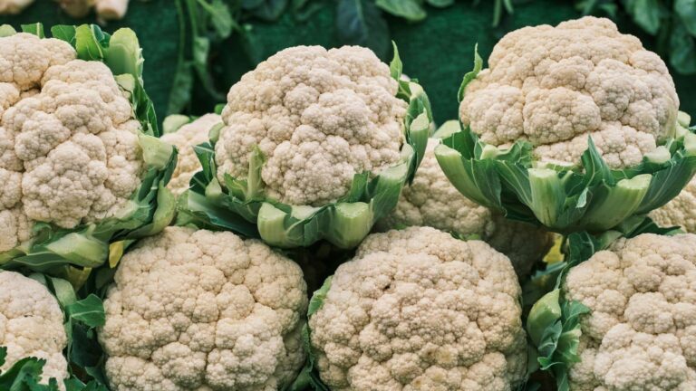 Tips and Trick: फंगस और काले धब्बों से बचाएं गोभी, अपनाएं ये घरेलू नुस्खे