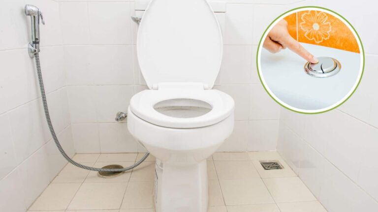 क्या आप सही ढंग से फ्लश करते हैं? जानिए दो बटन का महत्व