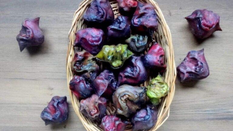Water Chestnut: इसे खाने से हड्डियां मजबूत और दिल रहेगा चकाचक, जानें कैसे