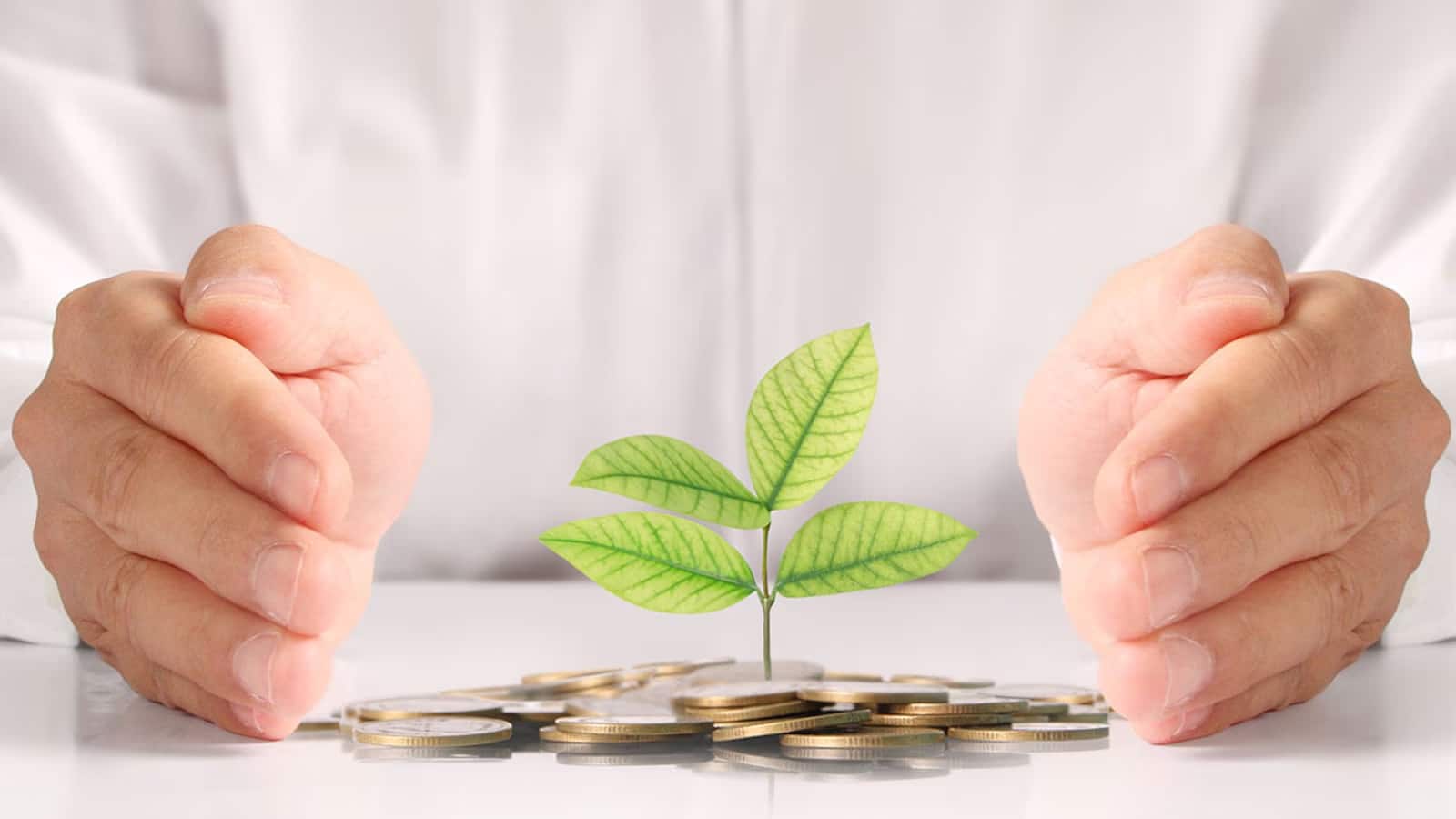 FD vs Bonds: रेपो रेट घटने के बाद बैंक एफडी पर घटा रहे इंटरेस्ट, क्या पैसा एफडी से निकालकर बॉन्ड्स में लगाना चाहिए?